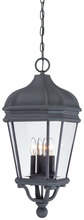 Minka-Lavery 8694-66 - Harrison - 4 Light Outdoor Chain Hung