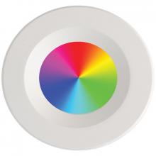 Westgate MFG C3 TC-RDPS4-10W-RGBW-WIFI - BLUETOOTH WG APP COMPATIBLE RGBW RDPS4 LIGHT