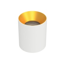 WAC US C4RL-NCS-WTGL - Zoron Round Flush Mount