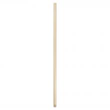 Cyan Designs 11972 - 48" Downrod - Aged Brass