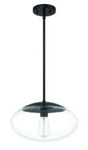 Craftmade 56894-FB - Gaze 14" 1 Light Oval Pendant in Flat Black