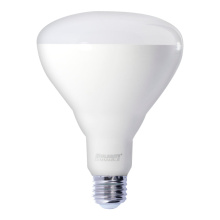 Bulbrite 772861 - LED15BR40/830/D/5