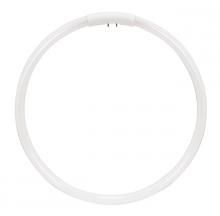 Satco Products Inc. S8164 - 40 Watt; T5; Circline Fluorescent; 2700K Warm White; 82 CRI; 4-Pin base