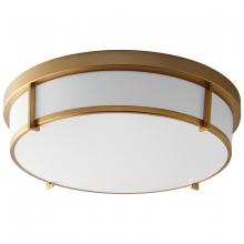 Oxygen 3-689-40 - iO 17" 120v DIM CMNT -AGB