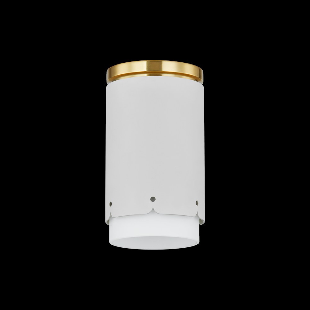 ASA Flush Mount