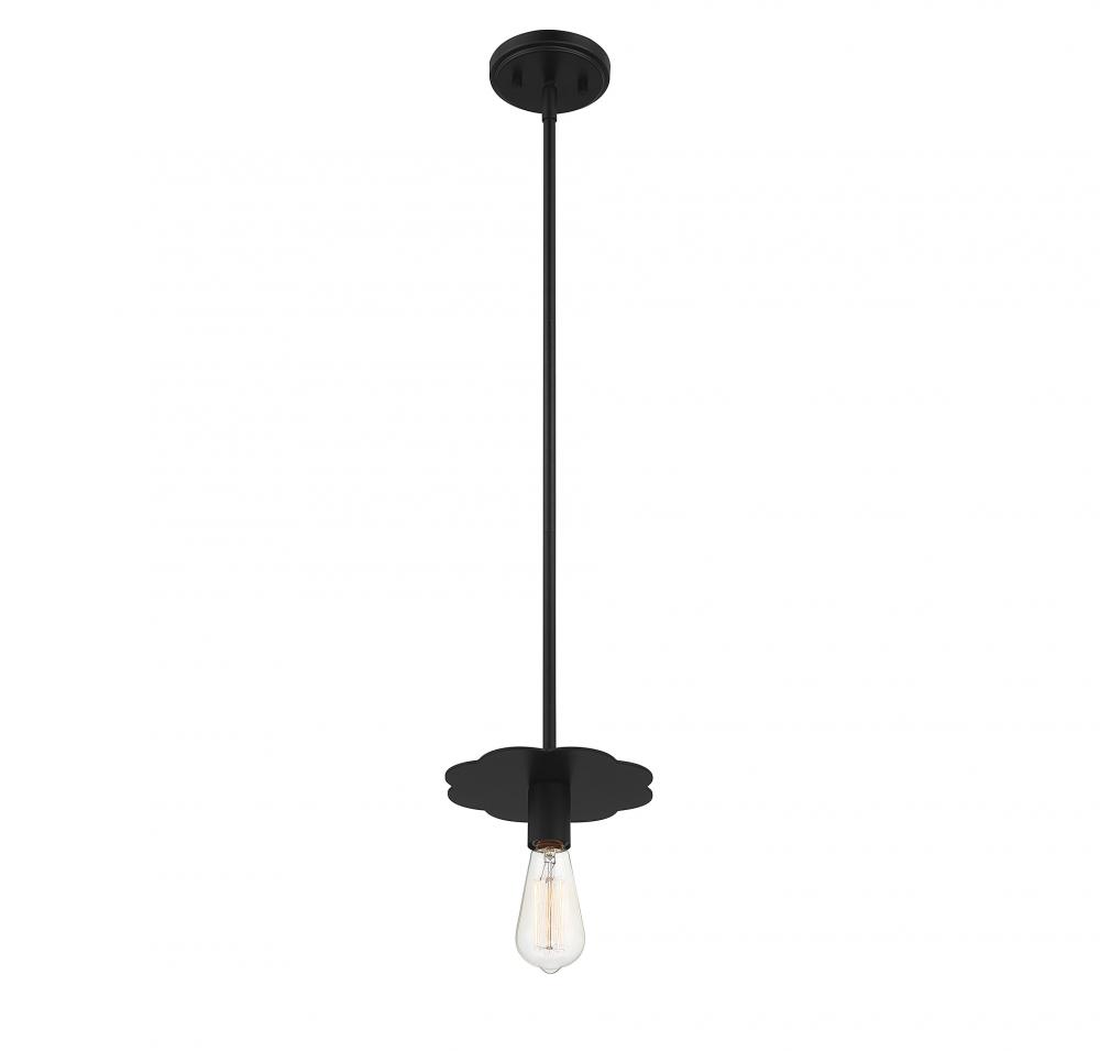 1-Light Mini Pendant in Matte Black