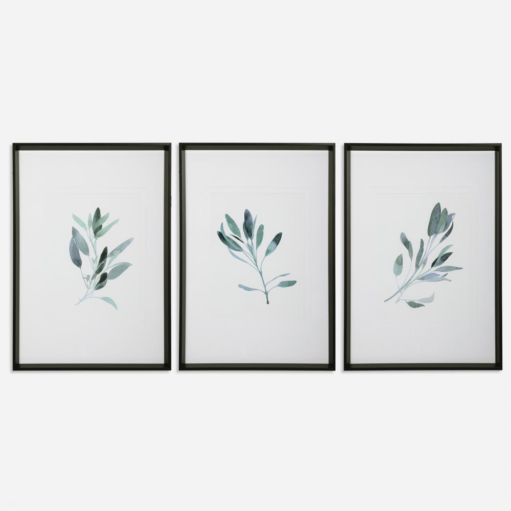 Uttermost Simple Sage Watercolor Prints Set/3