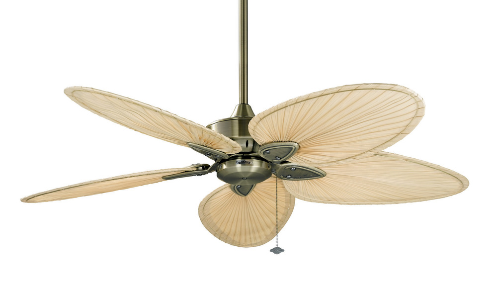 Windpointe 52 inch Indoor Ceiling Fan - Antique Brass with Natural Narrow Oval blades